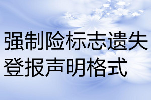 強制險標志遺失登報聲明格式