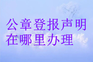 公章登報聲明在哪里辦理