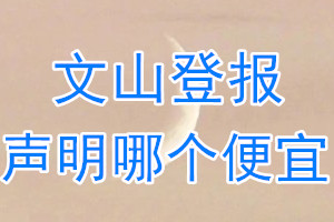 文山登報聲明哪個便宜