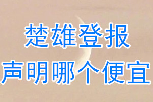 楚雄登報聲明哪個便宜