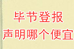 畢節登報聲明哪個便宜