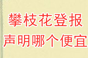 攀枝花登報聲明哪個便宜
