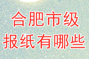 合肥市級報紙有哪些