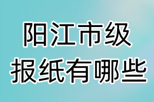 陽江市級報(bào)紙有哪些