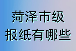 菏澤市級報紙有哪些