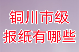 銅川市級(jí)報(bào)紙有哪些