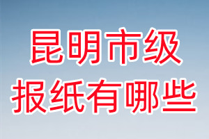 昆明市級報紙有哪些