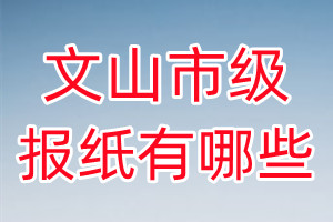 文山市級報紙有哪些