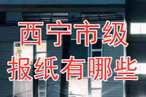 西寧市級報紙有哪些？