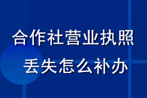 合作社營業(yè)執(zhí)照丟失怎么補辦