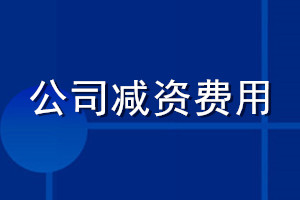 公司減資費用