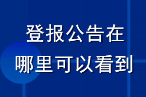 登報公告在哪里可以看到